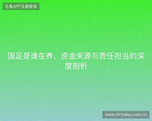 国足是谁在养，资金来源与责任担当的深度剖析